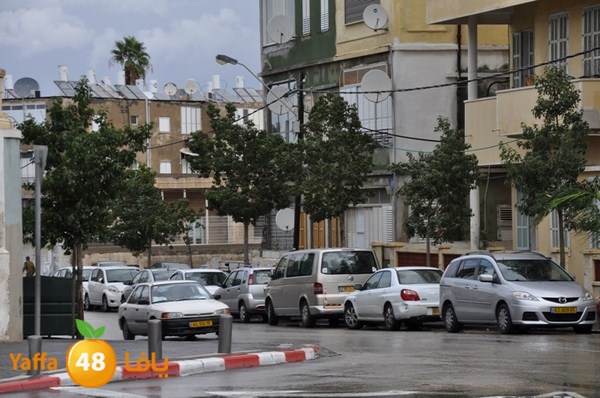 yaffa rain 1211 (44).JPG